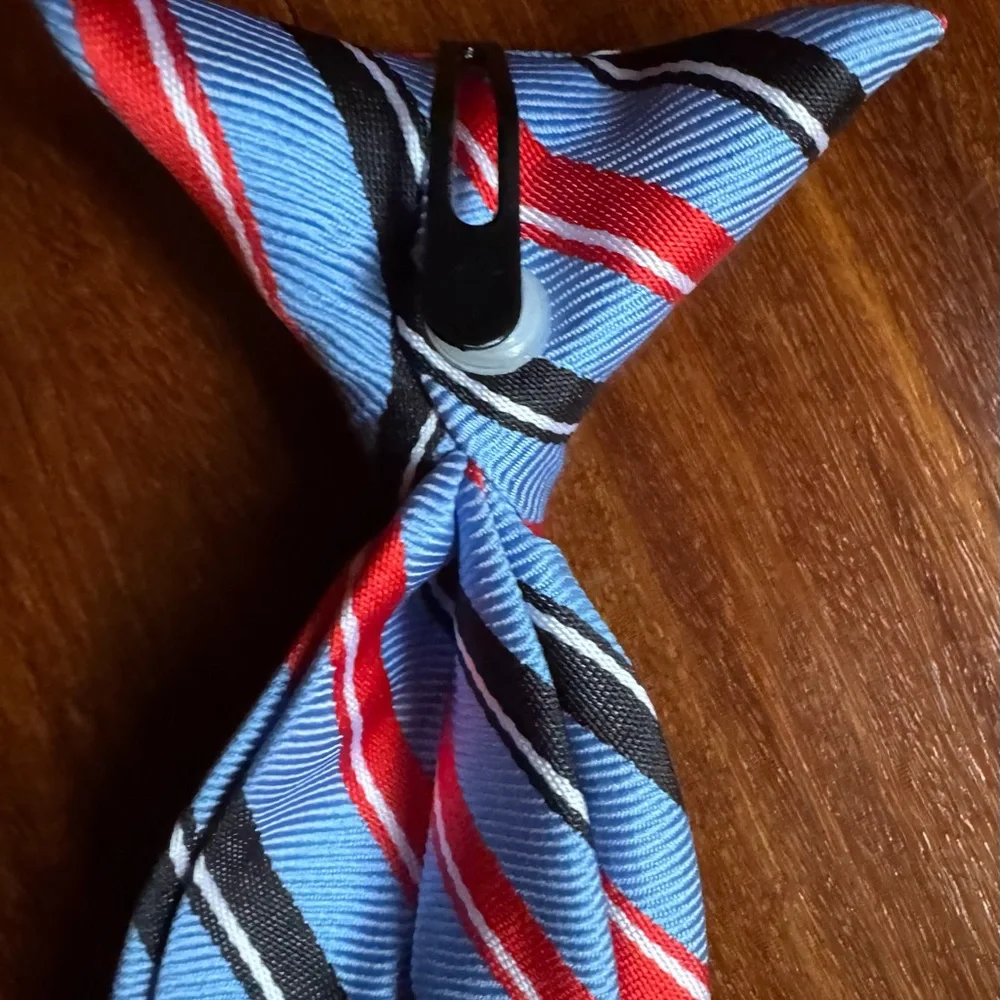 Stylish Kids Striped Tie in Blue and Red
